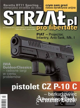 Strzal 2017-04 (06)