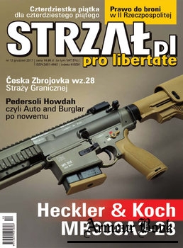 Strzal 2017-12 (13)