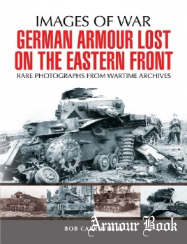 German Armour Lost on the Eastern Front [Images of War]