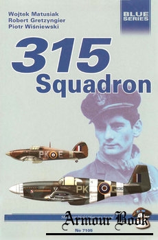 315 Squadron [Mushroom Blue Series 7105]