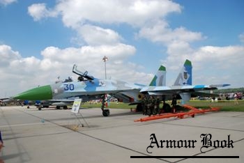 Sukhoi Su-27 (Blue 30) Flanker [Walk Around]
