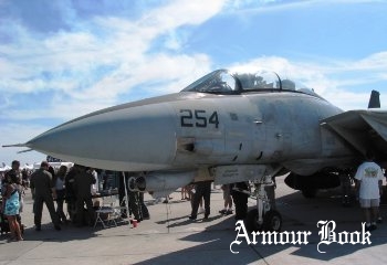 Grumman F-14 Tomcat [Walk Around]