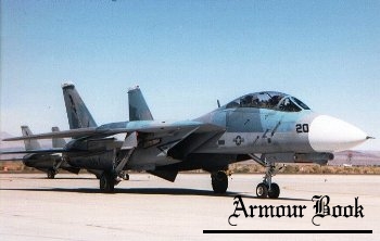 Grumman F14-A Tomcat [Walk Around]