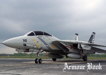 Grumman F-14B Tomcat [Walk Around]