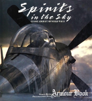 Spirits in the Sky: Classic Aircraft of World War II [Salamander Books]