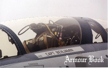F-4 Phantom II [Walk Around]