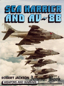 Sea Harrier and AV-8B [Blandford]