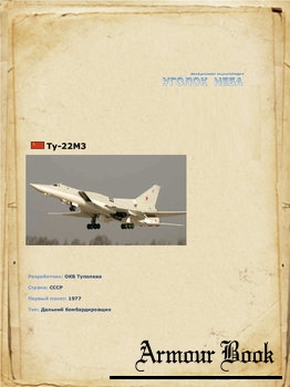 Туполев Ту-22М3 [Уголок неба]