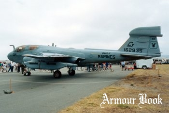Grumman EA-6B 'Prowler' [Walk Around]